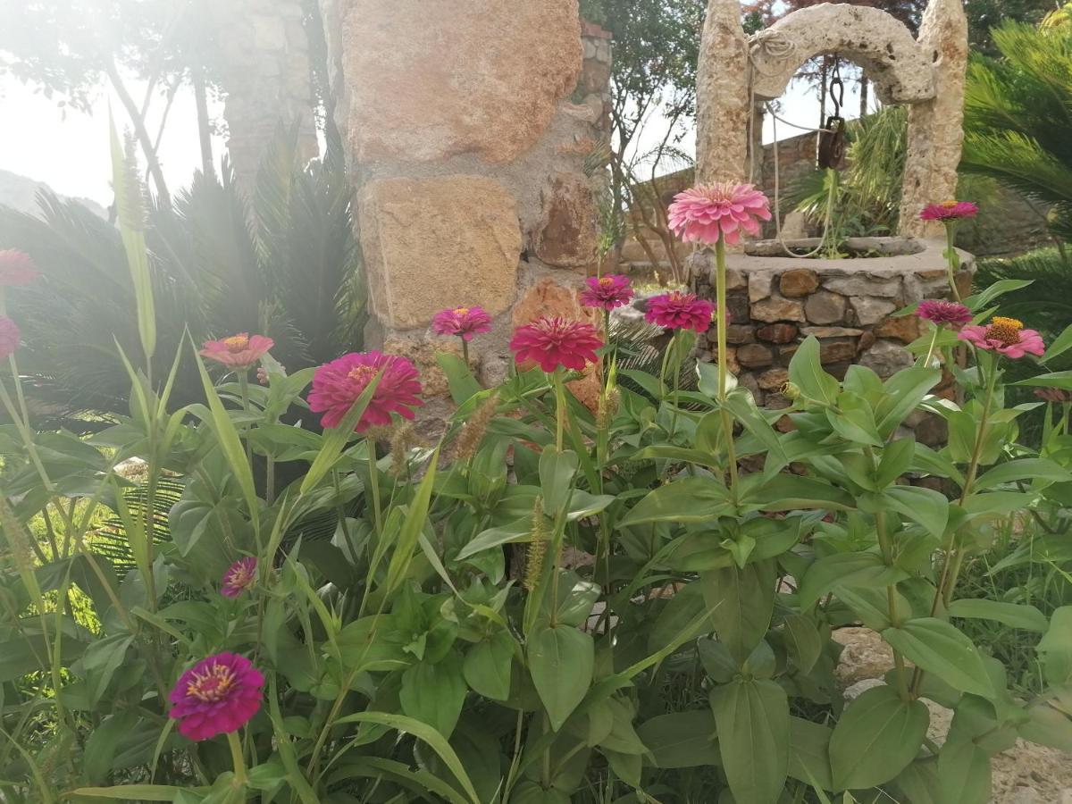 Villa Nonna Nina Capaci Exteriör bild